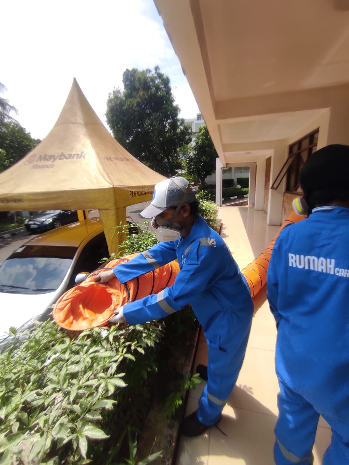 Pictures of Fumigasi